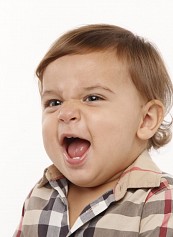 BERNARDO MACHADO FORTUNATO