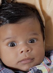 Nicolas Rodrigues Melo