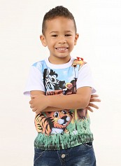 Pedro Henrique Nunes Silva